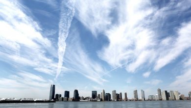 Photo of Quinoa new recipes, feta & broad bean salad