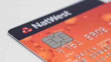 Photo of One swallow does not make the spring